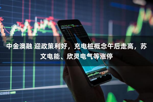 中金澳融 迎政策利好，充电桩概念午后走高，苏文电能、欣灵电气等涨停