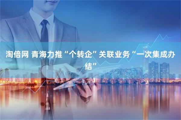 淘倍网 青海力推“个转企”关联业务“一次集成办结”