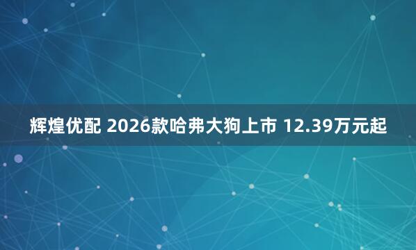辉煌优配 2026款哈弗大狗上市 12.39万元起